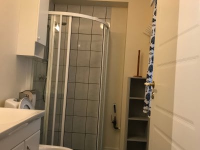 Apartment Type 2 bathroom with shower and toilet