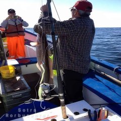 Fisherman with ling fish on motorboat.