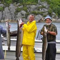 sotra-rorbusenter-fishing-harbor-05-ling-catch-norway