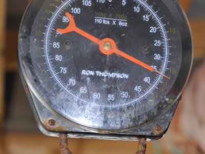 Scale showing weight measurement.