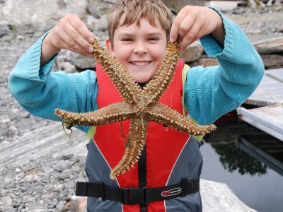 Child holding large starfish.