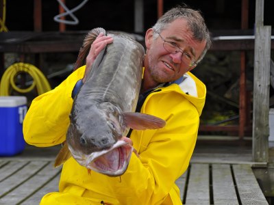 Fisherman holding conger eel at harbor.
