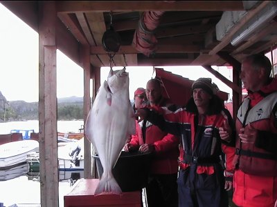 Guests weighing large halibut at harbor.