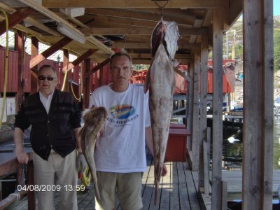 Large ling fish hanging at harbor.