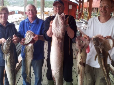 Group holding large ling fish at harbor.