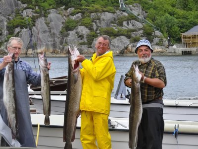 Three guests holding large ling fish at harbor.