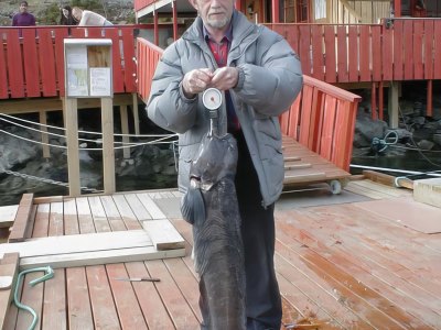 Guest holding large wolffish at harbor.