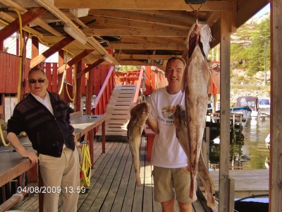 Dockside ling fishing catch in Norway