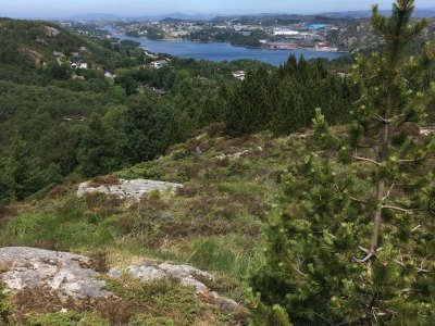 Hiking trail with nature views in Sotra, Norway